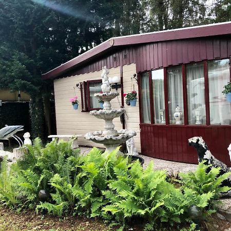 Retro Relax Resort Midden In Het Bos Op De Veluwe In Putten Exterior foto